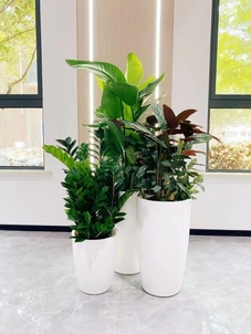 江北绿化养护公司